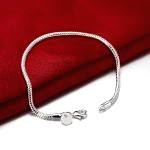 Bracelet Argent Serpent Homme 2